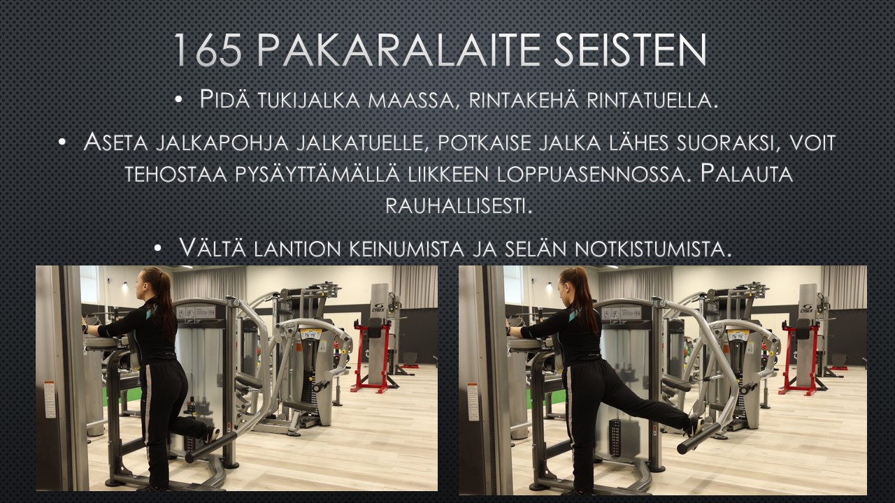 pakaralaite seisten