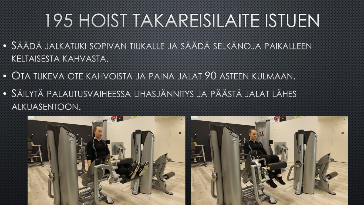 takareisilaite istuen